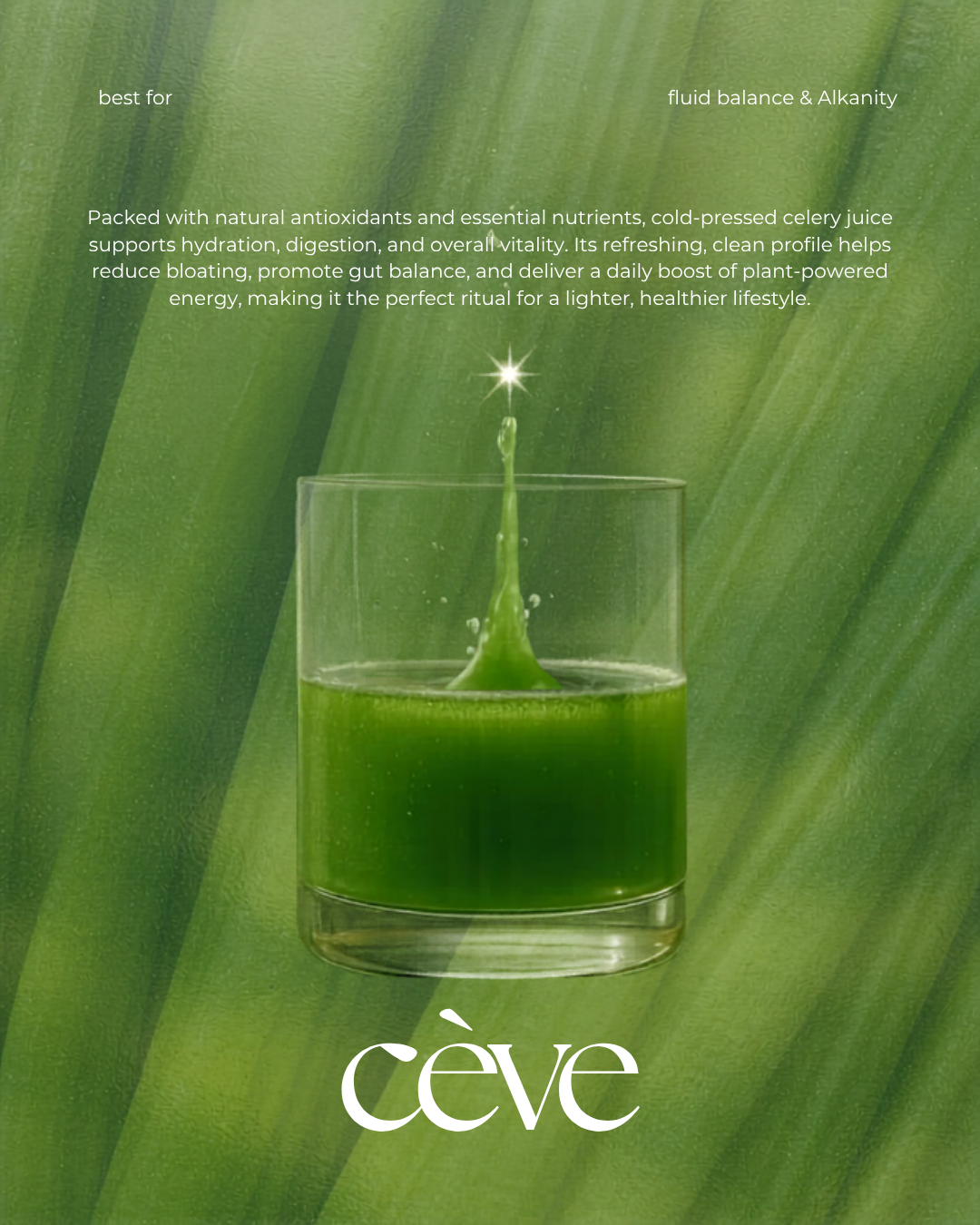 Cève 2