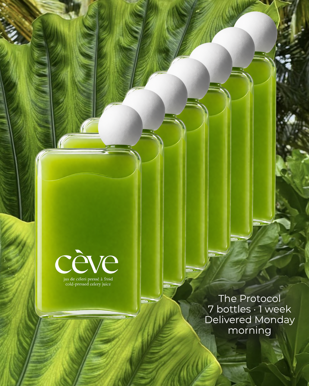 Cève 4